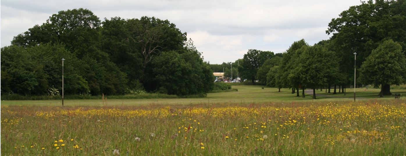 Braunstone Park, Leicester NatureSpot