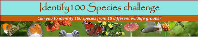 100 Species Challenge 