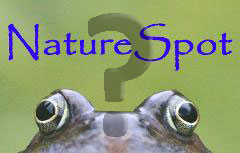 Ask NatureSpot