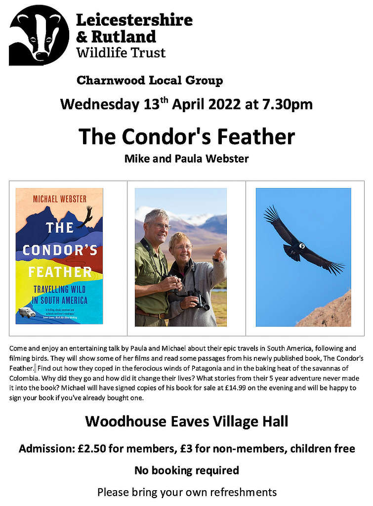The Condors Feather