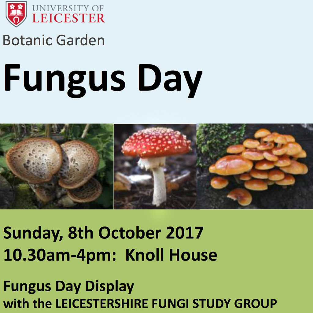 Fungus Day 2017
