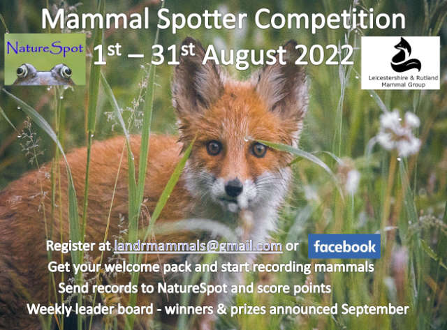 August Mammal Spotters Competition