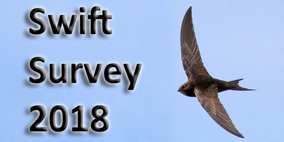 Swift Survey 2018