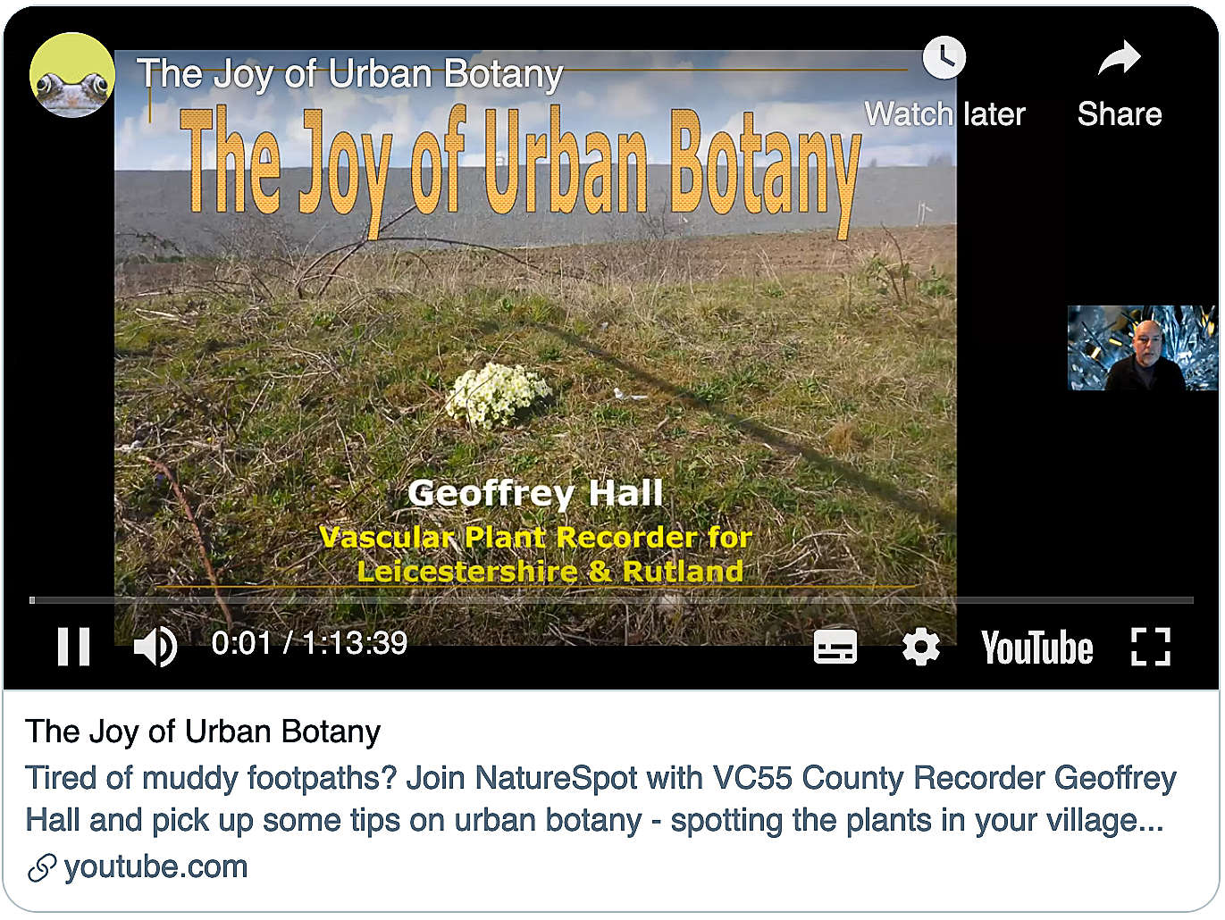The Joy of Urban Botany